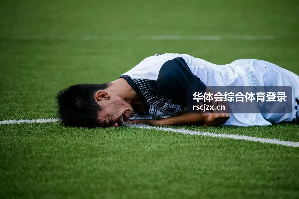 华体会综合体育登录入口核对示意图