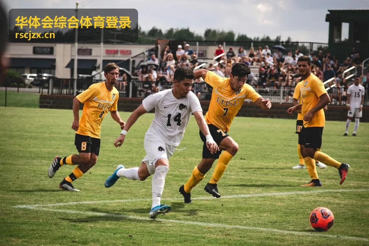 华体会综合体育登录密码找回流程配图